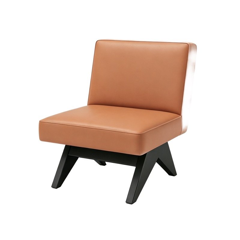 Dining Chairs DC-66