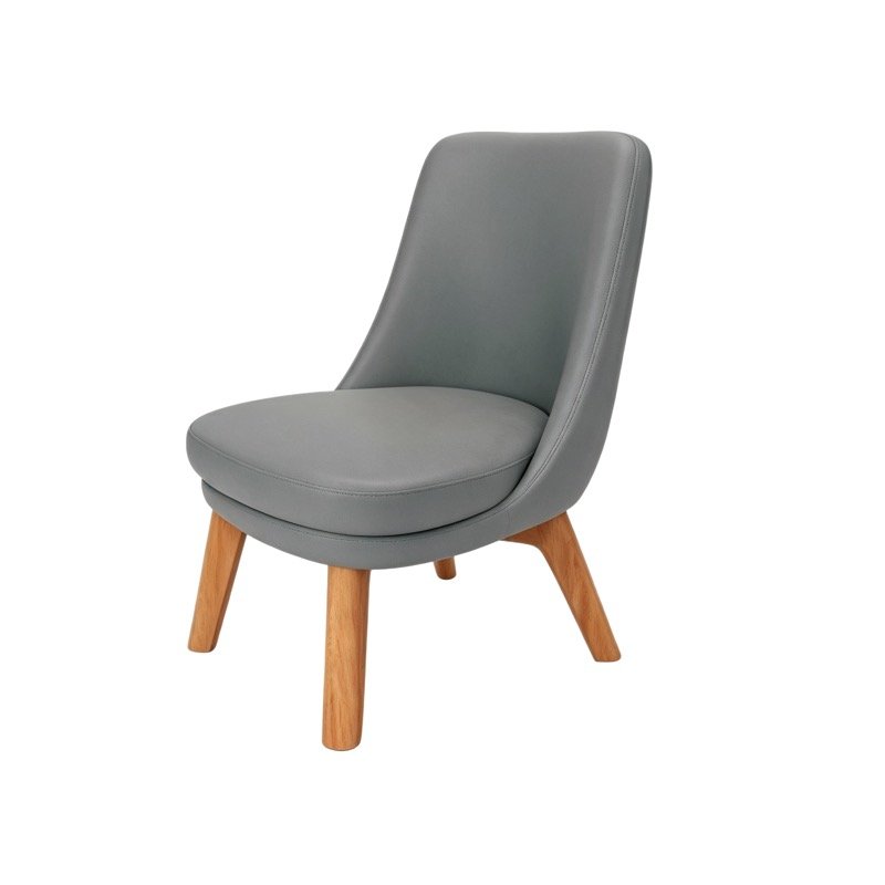 Dining Chairs DC-67