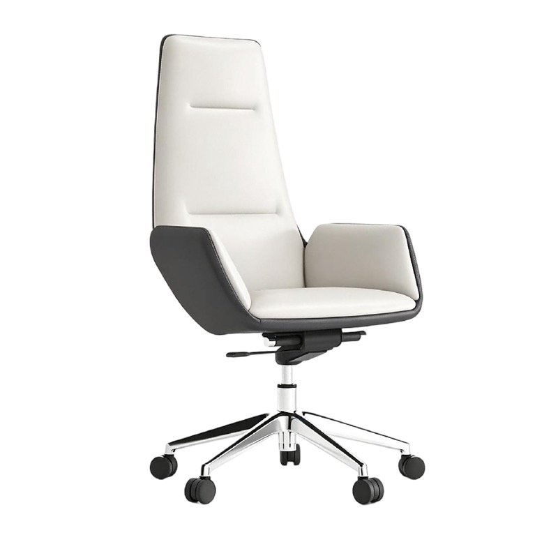 Office Chairs OC-10